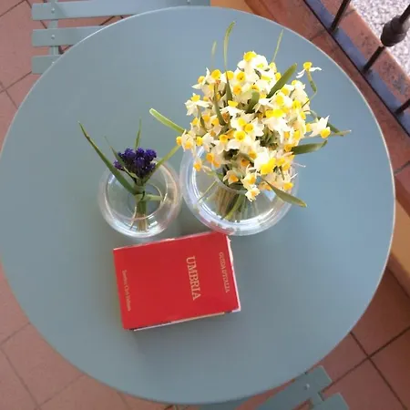 Vakantiehuis Dolcementassisi